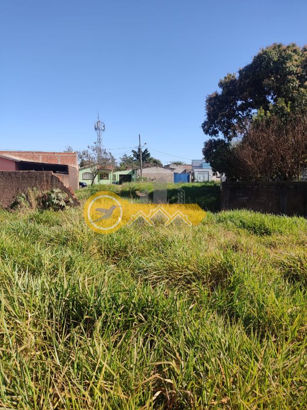 Terreno no salgado filho - Ponta Porã