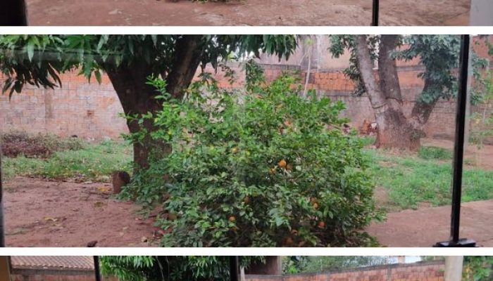 Exelente Imóvel - Bairro Da Mocca